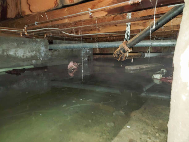 Best Sewage cleanup and water damage restoration  in New Canaan, CT