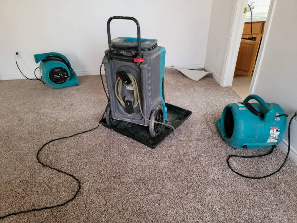 Best 24-hour water damage restoration  in New Canaan, CT