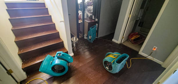 Best Water damage restoration near me  in New Canaan, CT