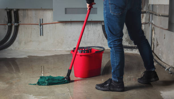 Best Water damage repair service  in New Canaan, CT