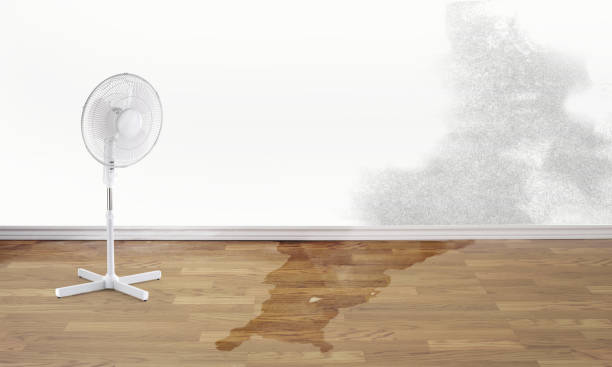 Best 24/7 water damage repair  in New Canaan, CT