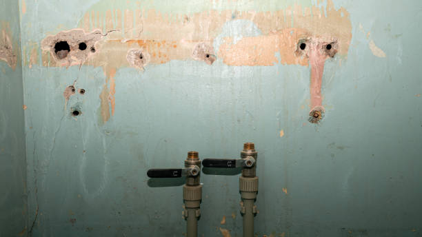 Best Local water damage restoration  in New Canaan, CT