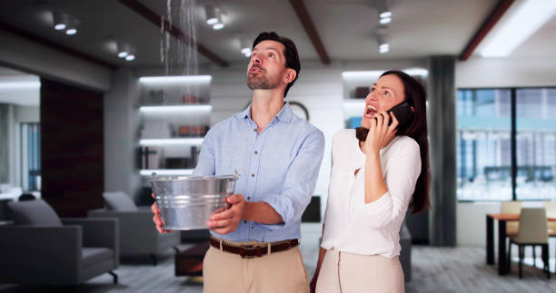 Best Mold removal after water damage  in New Canaan, CT